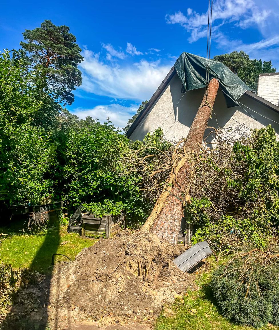 Umgestürzter Baum liegt nach Sturmschaden auf dem Dach eines Hauses in Berlin