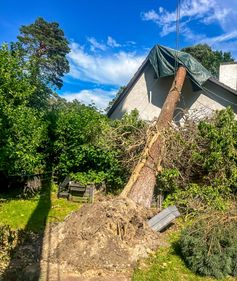 Umgestürzter Baum liegt nach Sturmschaden auf dem Dach eines Hauses in Berlin